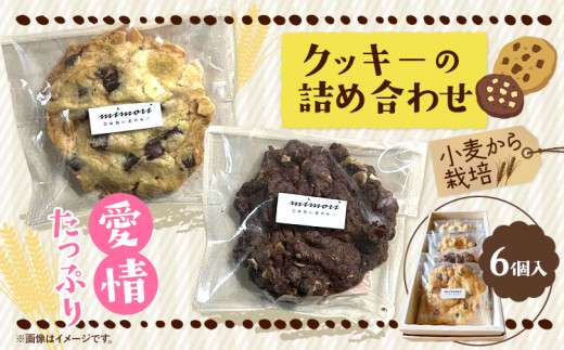 クッキーの詰め合わせ 選べる 内容量 6個入り 美馬市産 実森ラボラトリー株式会社 自家製小麦のお店mimori《30日以内に発送予定(土日祝除く)》 徳島県 美馬市 お菓子 クッキー 小麦 チョコこ