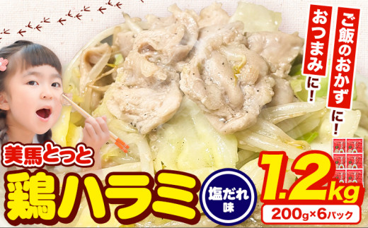 味付け肉 美馬とっと 鶏ハラミ 塩だれ味 200g × 6パック まるほ食品株式会社 《30日以内に出荷予定(土日祝除く)》 ふるさと納税 鶏肉 味付 とり肉 鶏ハラミ 塩だれ味 レトルト 簡単調理 一人