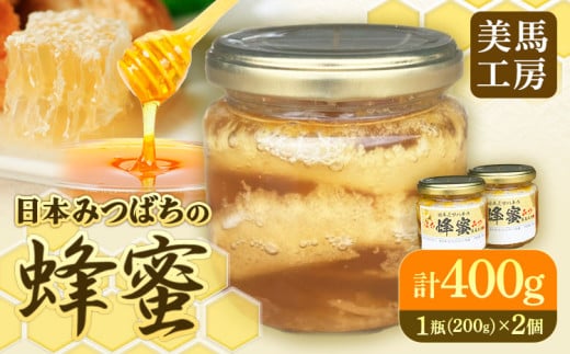日本みつばちの蜂蜜 200g×2個 計400g 美馬工房 《30日以内に出荷予定(土日祝除く)》 ハチミツ はちみつ 自然採取 2瓶 国産 徳島県 美馬市 st-p徳島県美馬市19000鍋セット・総菜・加工食品ジャム