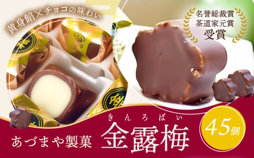 和菓子 黄身餡子 チョコレート 金露梅 45個 あづまや製菓有限会社 《30日以内に出荷予定(土日祝除く)》 徳島県 美馬市 阿波 郷土銘菓 自家製黄身餡 チョコ 名誉総裁賞 茶道家元賞 贈り物 お