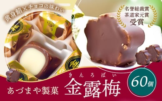 和菓子 黄身餡子 チョコレート 金露梅 60個 あづまや製菓有限会社 《30日以内に出荷予定(土日祝除く)》 徳島県 美馬市 阿波 郷土銘菓 自家製黄身餡 チョコ 名誉総裁賞 茶道家元賞 贈り物 お