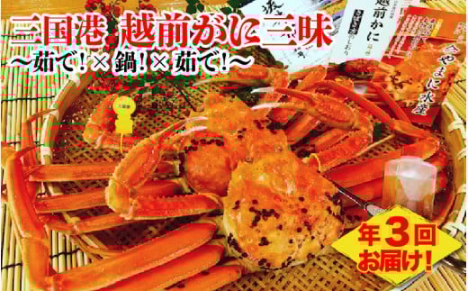 ys\zy󂠂zyN3񂨓͂z O` zOɎO `䥂ŁI× I× 䥂ŁI` y2025N11{`2026N3z [P-4304]䌧s350000ECYJj