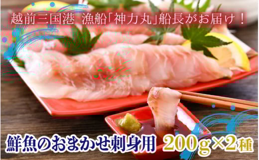 Ƃs`N̂܂hgp 200g×2 `zOO` Du_͊ہv D͂I` [A-5824]䌧s11500ECYN