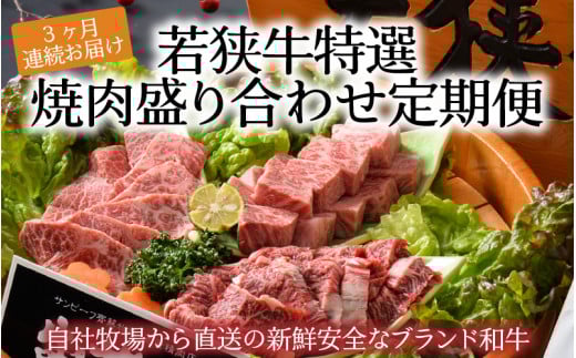 y3A͂z ዷ Iē荇킹 [J-1808]䌧s116000