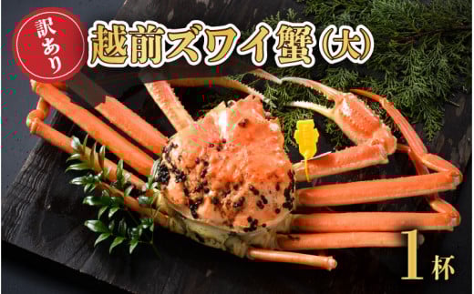 ydbAňSz󂠂䥂ŁzOYCI() 1ty2025N11z [I-1601_11]䌧s90000ECYJj