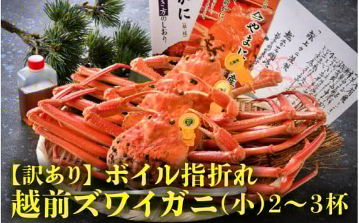 ys\zl䥂ł ƂꂽĎw܂zO() 2`3ty11z [C-4352_11]䌧s41000ECYJj