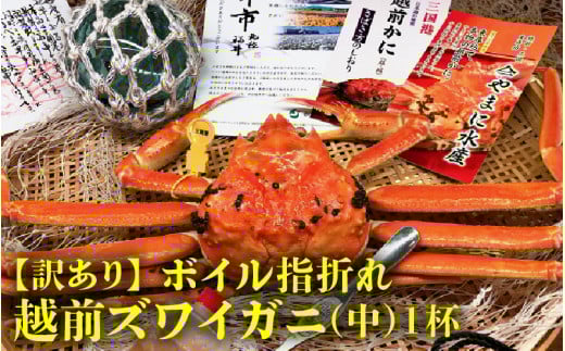 ys\zl䥂ł ƂꂽĎw܂󂠂zO() 1t ܂Ɏd݁y2z [E-4353_02]䌧s64000ECYJj