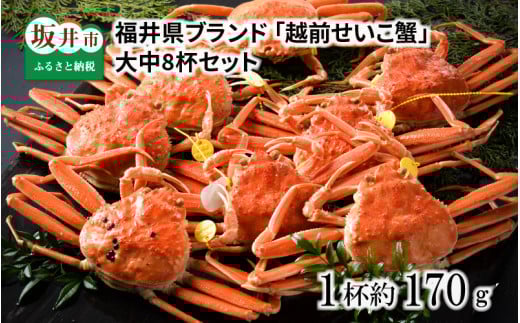 ys\z䌧uh 䥂ŁuzOZCRIv 咆8tZbg y2025N12z [K-1402_12]䌧s135000ECYJj