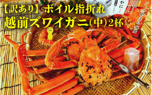 ys\zl䥂ł ƂꂽĎw܂zO() 2ty2z [J-4304_02]䌧s116000ECYJj