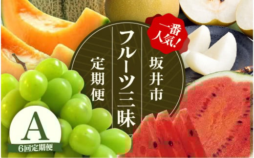 【先行予約】【定期便 6回コース】 坂井市フルーツ三昧!!定期便A【2026年6月上旬以降順次発送開始予定】【定期便 くだもの 果物 フルーツ お楽しみ アンデスメロン すいか スイカ マルセ