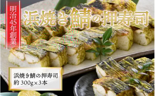 ӂ邳ƕ̖ lĂỈi 3{Zbg [A-8403]䌧s11500ECY̑ ECY