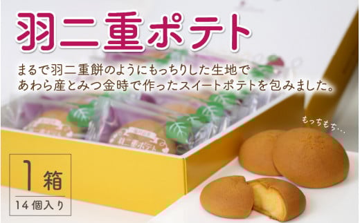 Hd|eg 14 `XC[g|egH̐nŕ݂܂ ` [A-08159]䌧s11000َqEXC[cP[LEJXe