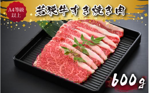 A4ȏዷĂ 600g [B-10703]䌧s23000
