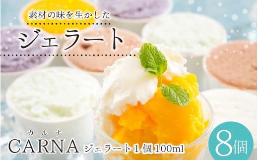 fނ̖𐶂 Ji WF[g 8ZbgyACX ~NACX ACXN[ V[xbg WF[g Xَq XC[c َq  lߍ킹 Zbg lC Ⓚ JA