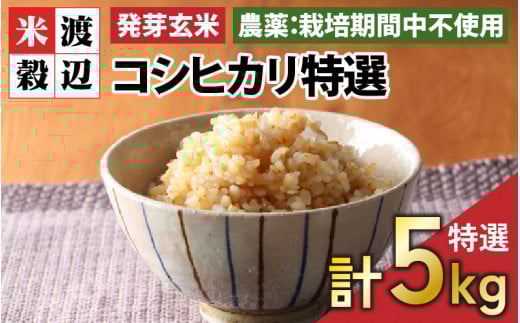【令和7年産】【発芽玄米】コシヒカリ特選 真空パック5kg〜玄米以上の栄養価と白米に近い柔らかさ〜 【無洗米 米 玄米 こしひかり ギャバ GABA 食物繊維 栄養 真空パック ごはん ご飯 おいし