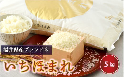 yߘa7NYEVāz񂳂rڂ͂ 䌧Yق܂ 5kgi5Âj [B-0219_03]䌧s25000āEp