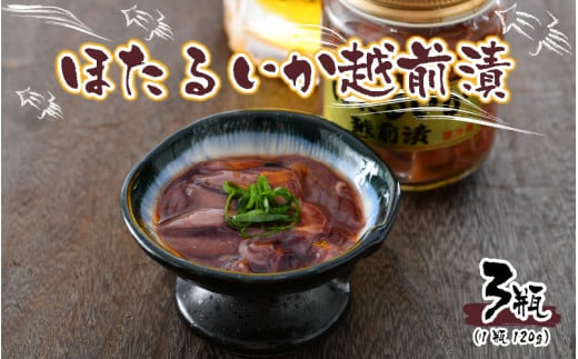 ق邢zO 360gi120g × 3Zbgj  [A-6239]䌧s14000ECYCJE^REEj