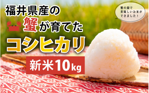 yߘa5NxYz䌧Y̊IĂRVqJ 10kg [A-6621]䌧s14000āEp