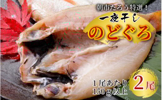 s낤II銱̂ǂ 2II [A-12305]䌧s15000ECYN