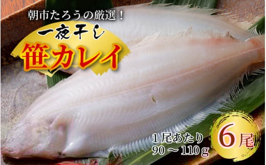 s낤̌II 銱 JC 6II [A-12302]䌧s11500ECYL