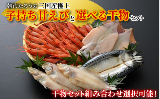 s낤̎OYɏIqÂ 500gƁAIׂ銱 3ZbgiJC3 × 3j [A-12341_04]䌧s15500ECYGr