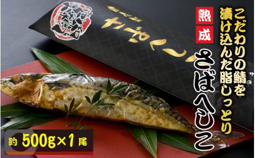 ̏h̎IЂ񂾁AƂn΂ւ 500g × 1  [A-12701]䌧s8100ECY̑ ECY