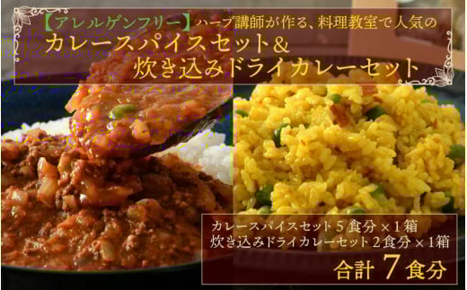 ハーブ講師が作る 教室で人気のカレースパイスセット (5食分 × 1箱) & 炊込みドライカレー (2食分 × 1箱)お米(無洗米)付き【アレルゲンフリー】【スパイス スパイスカレー スパイス
