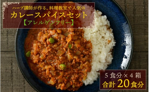 ハーブ講師が作る教室で人気のカレースパイスセット (5食分 × 4箱)【アレルゲンフリー】 【スパイス スパイスカレー スパイスセット カレーパウダー おうちカレー カレー粉 香辛料 セッ