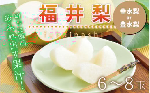 【先行予約】「福井梨」6〜8玉 シャキっとした食感♪ あふれ出す果汁!【幸水梨】【2026年8月下旬以降順次発送予定】【梨 なし 和梨 先行予約 ナシ フルーツ 甘い みずみずしい 果実 果物