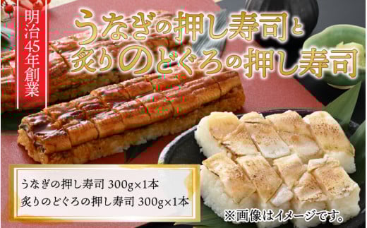 Ȃ̉i1{t̂ǂ̉i1{ 2{Zbg [A-8406]䌧s16500ECY̑ ECY