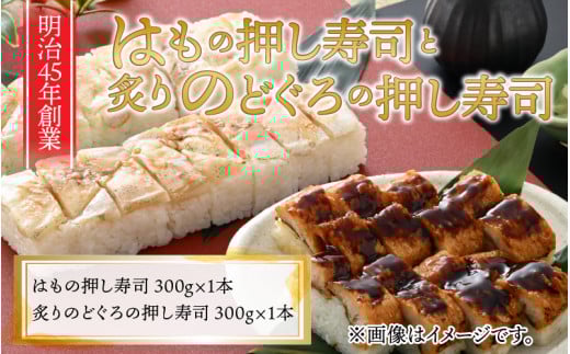 ͂̉i1{t̂ǂ̉i1{ 2{Zbg [A-8408]䌧s16500ECY̑ ECY