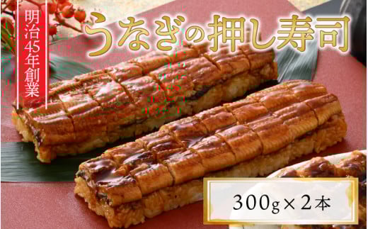 Ȃ̉i2{Zbg [A-8409]䌧s20000ECY̑ ECY