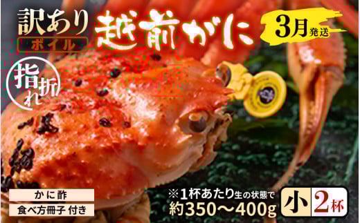 【先行予約】【訳あり】名人が茹でる指折れ訳あり越前がに(小)2杯 (1杯あたり生の状態で約350〜400g) やまに仕込み 【3月発送分】 【越前ガニ ズワイガニ ずわいがに 蟹 三国 浜茹で 冬の