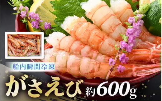 【発泡箱入り】漁船直送☆船内瞬間冷凍 がさえび 約600g 【希少 海老 えび エビ ガサエビ ガラエビ がらえび ザコエビ ブルエビ ガマエビ ガスエビ がすえび 越前えび 殻付き 有頭 生食 刺身