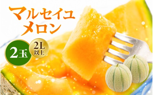 【先行予約】【数量限定】 マルセイユメロン 2Lサイズ以上 × 2玉 (1玉あたり:約1.05〜1.5kg) 福井県三里浜産 糖度15度 【2026年6月上旬より順次発送】 【 メロン 先行予約 めろん フルーツ 期間