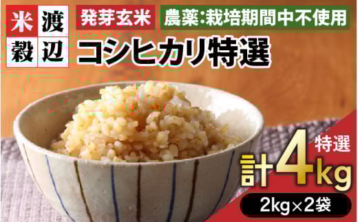 yߘa7NYz茺 RVqJuIvʍ͔|Ďgp 2kg×2܁iv4kgjy Ђ  Mo GABA ʍ͔| H@ h{ ^pbN ͂   ӂ邳Ɣ[ŕāz [C-2