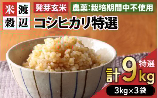 【令和7年産】発芽玄米 コシヒカリ「特選」特別栽培米使用 3kg×3袋(計9kg)【米 こしひかり 玄米 ギャバ GABA 特別栽培 食物繊維 栄養 真空パック ごはん ご飯 おいしい ふるさと納税米】 [F-2