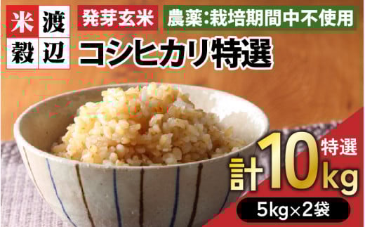【令和7年産】発芽玄米 コシヒカリ「特選」特別栽培米使用 5kg×2袋(計10kg)【米 こしひかり 玄米 ギャバ GABA 特別栽培 食物繊維 栄養 真空パック ごはん ご飯 おいしい ふるさと納税米】 [G-