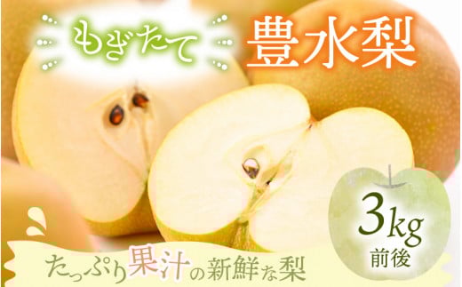 【先行予約】【豊水梨】3kg前後 (5~8個) もぎたて!たっぷり果汁の新鮮な梨をお届け!【2026年8月下旬以降順次発送予定】【梨 なし 和梨 フルーツ 甘い みずみずしい 果実 果物 新鮮 お土産