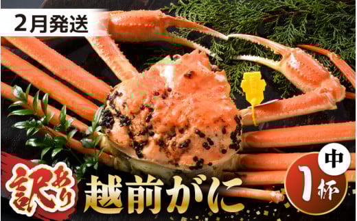 【先行予約】【訳あり】 茹で「越前ズワイ蟹」 中 1杯 脚折れ 【2026年2月発送分】【わけあり ワケアリ カニ かに 蟹 越前ガニ 越前蟹 ずわいがに ズワイガニ ズワイ ボイルガニ 姿 ボイル 冬
