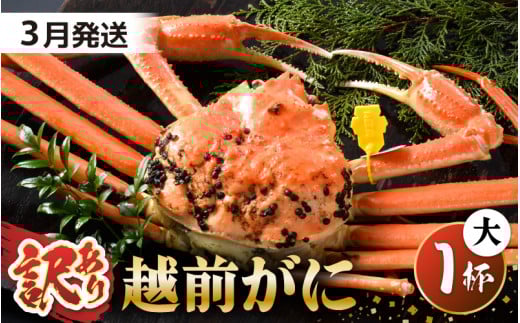 【先行予約】【訳あり】 茹で「越前ズワイ蟹」 大 1杯 脚折れ 【2026年3月発送分】【わけあり ワケアリ カニ かに 蟹 越前ガニ 越前蟹 ずわいがに ズワイガニ ズワイ ボイルガニ 姿 ボイル 冬