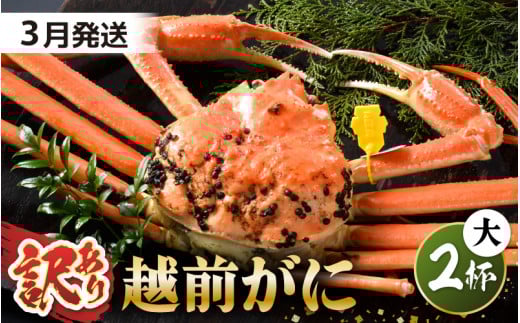 【先行予約】【訳あり】 茹で「越前ズワイ蟹」 大 2杯 脚折れ 【2026年3月発送分】【わけあり ワケアリ カニ かに 蟹 越前ガニ 越前蟹 ずわいがに ズワイガニ ズワイ ボイルガニ 姿 ボイル 冬