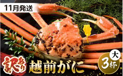 【先行予約】【訳あり】 茹で「越前ズワイ蟹」 大 3杯 脚折れ 【2025年11月発送分】【わけあり ワケアリ カニ かに 蟹 越前ガニ 越前蟹 ずわいがに ズワイガニ ズワイ ボイルガニ 姿 ボイル