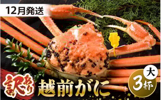 【先行予約】【訳あり】 茹で「越前ズワイ蟹」 大 3杯 脚折れ 【2025年12月発送分】【わけあり ワケアリ カニ かに 蟹 越前ガニ 越前蟹 ずわいがに ズワイガニ ズワイ ボイルガニ 姿 ボイル