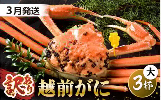 【先行予約】【訳あり】 茹で「越前ズワイ蟹」 大 3杯 脚折れ 【2026年3月発送分】【わけあり ワケアリ カニ かに 蟹 越前ガニ 越前蟹 ずわいがに ズワイガニ ズワイ ボイルガニ 姿 ボイル 冬