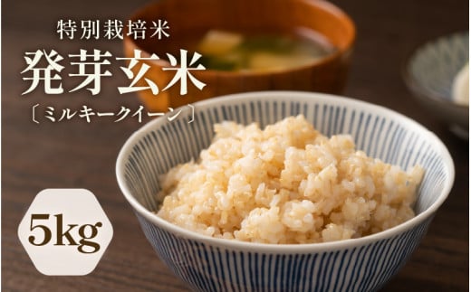 【先行予約】【令和7年産】発芽玄米 特別栽培米 ミルキークイーン 真空パック 5kg 〜甘みがありモチモチやわらか〜 【2025年10月中旬以降順次発送予定】【米 玄米 ギャバ GABA 特別栽培 食物