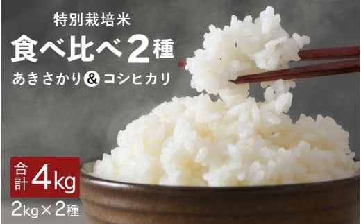 【先行予約】【令和7年産・新米】福井県坂井町産 特別栽培米2種食べ比べセット あきさかり・コシヒカリ各2kg(計4kg)(玄米) 【2025年9月下旬以降順次発送予定】 【お米 こめ コメ 米 食べ比