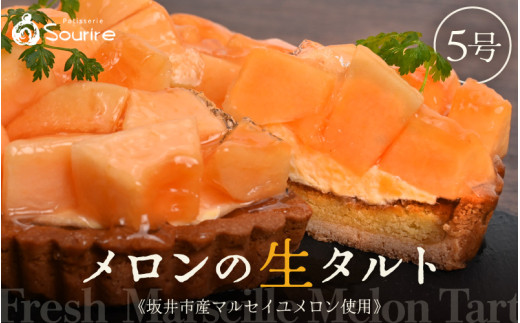 【先行予約】【数量限定】サクサク食感 マルセイユメロンのフレッシュタルトケーキ 5号:直径15cm (4〜5人前) 850g 【2026年6月より順次発送】【メロン めろん ケーキ メロンケーキ ホール た