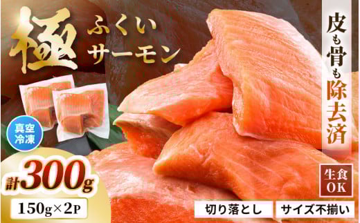 【訳あり】 ふくいサーモン切り落とし (生食用) 150g × 2パック 合計300g 皮?ぎ・骨抜き加工済 サイズ不揃い 真空冷凍 【サーモン 鮭 しゃけ 切り落とし 生食可 焼き サラダ 鮮度 水産加工品 海