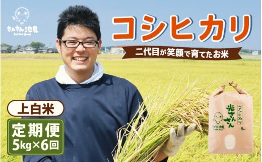 【令和7年産・新米】【6ヶ月連続お届け】二代目が笑顔で育てた コシヒカリ 5kg × 6回 計30kg (上白米) 〜福井県産 生産者直送!〜 【定期便 お米 こしひかり ぶつき米 無洗米 玄米 ブランド米